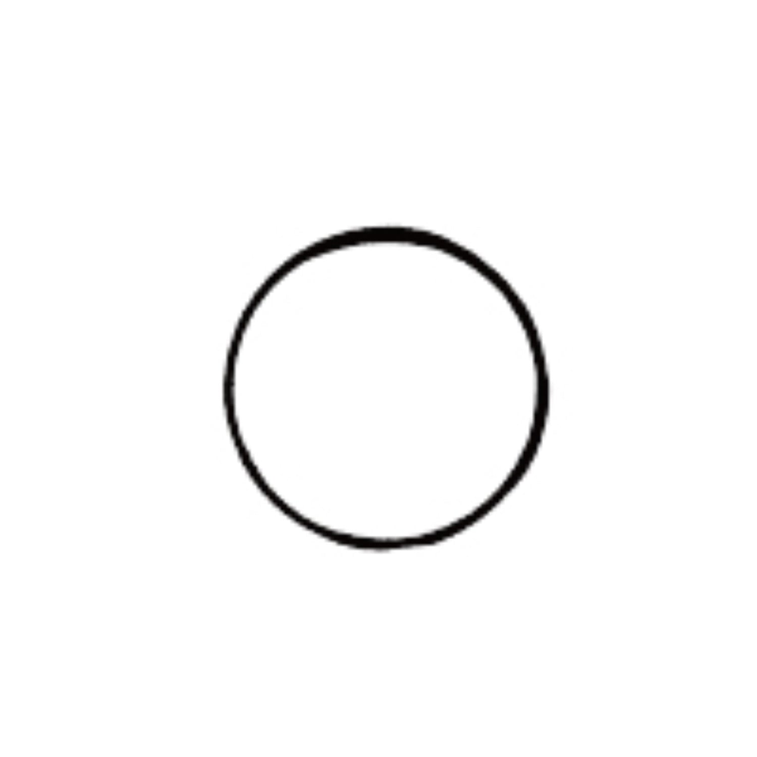O Project