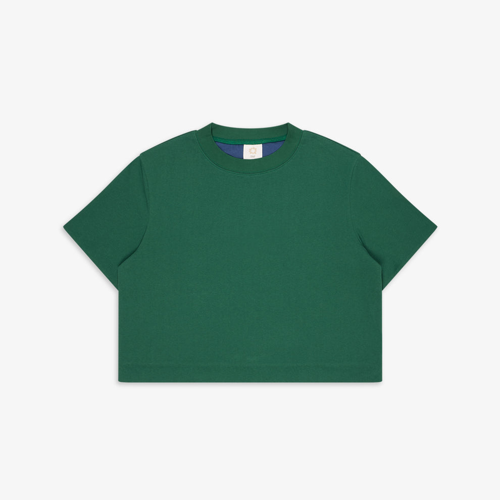 GANDER / Reversible Tee Green/Blue
