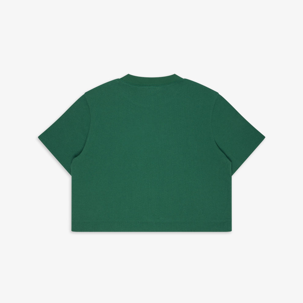 GANDER / Reversible Tee Green/Blue