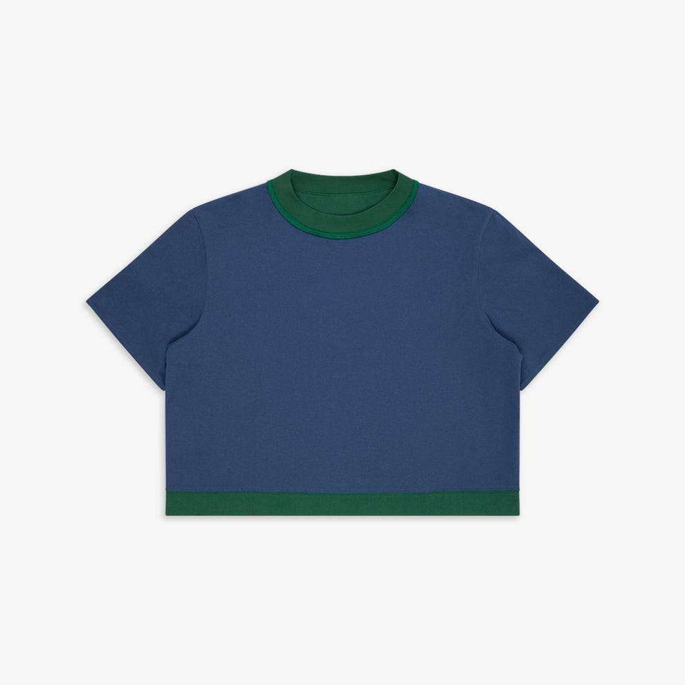 GANDER / Reversible Tee Green/Blue