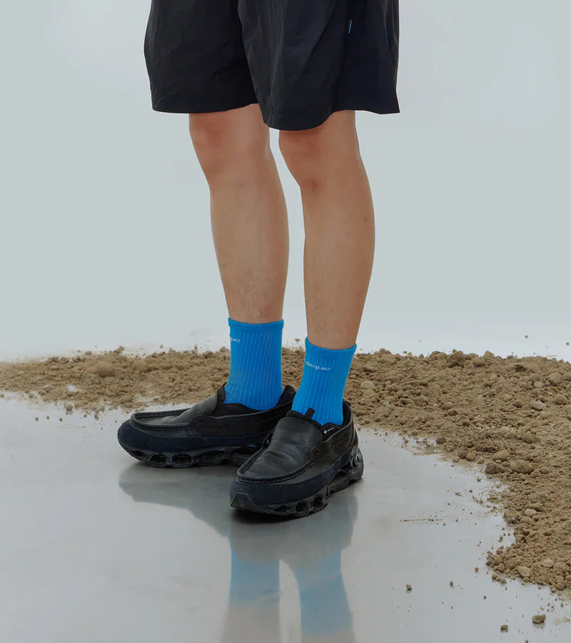 NOZZLEQUIZ / Glint Blue - Essential Casual socks